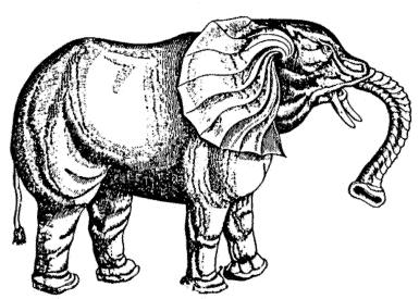 Nochn Elefant