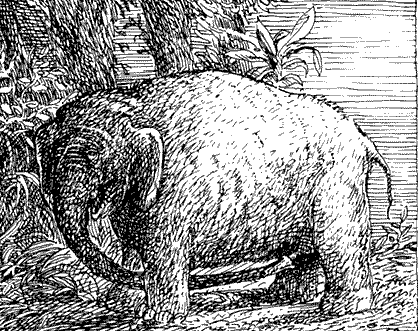 Onanierender Elefant
