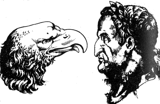 Adlernase