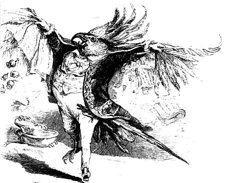 Dichter-Gockel