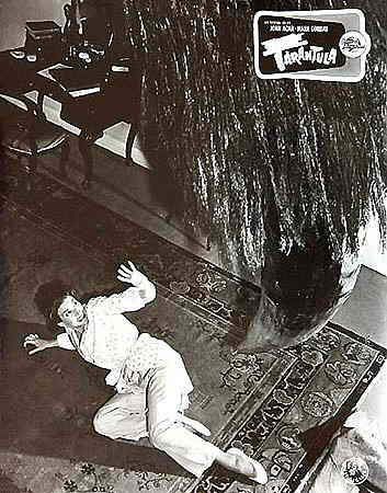 Frau mit Riesenspinne