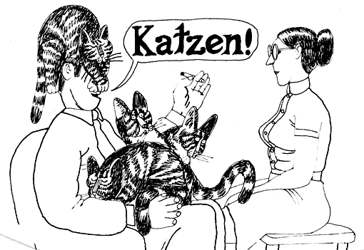 Katzen