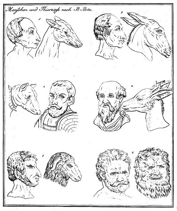 Menschen-Tiere