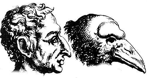 Rabennase